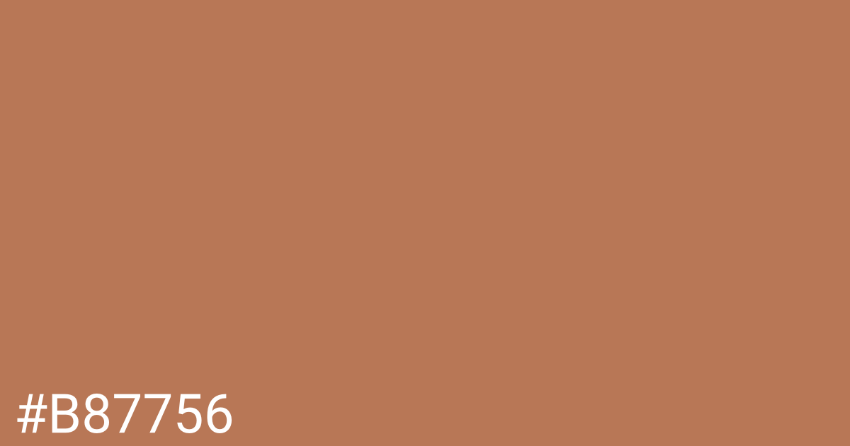 Hex color #b87756 graphic