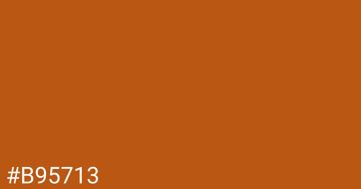 Hex color #b95713 graphic