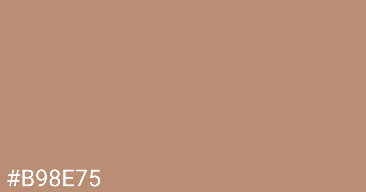 Hex color #b98e75 graphic