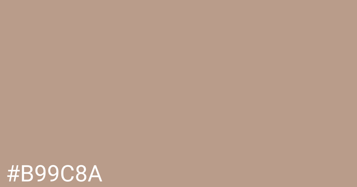 Hex color #b99c8a graphic