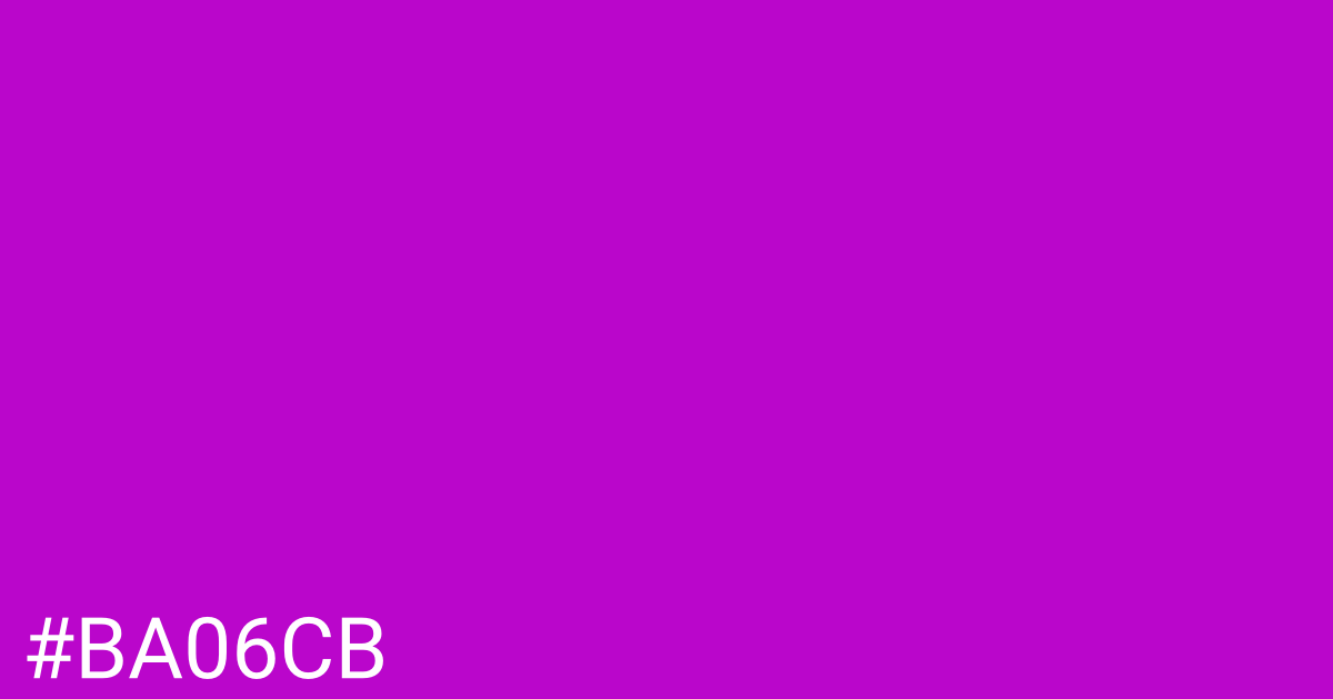 Hex color #ba06cb graphic