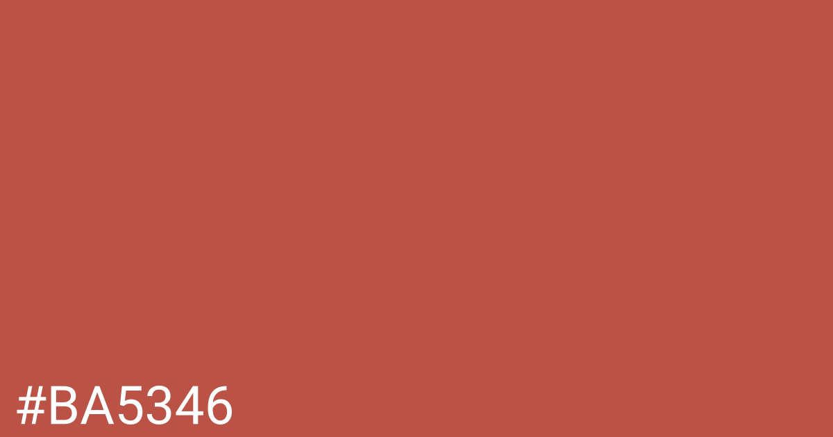 Hex color #ba5346 graphic