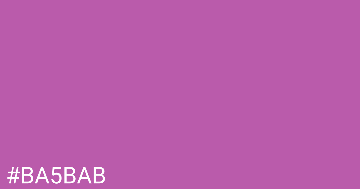 Hex color #ba5bab graphic