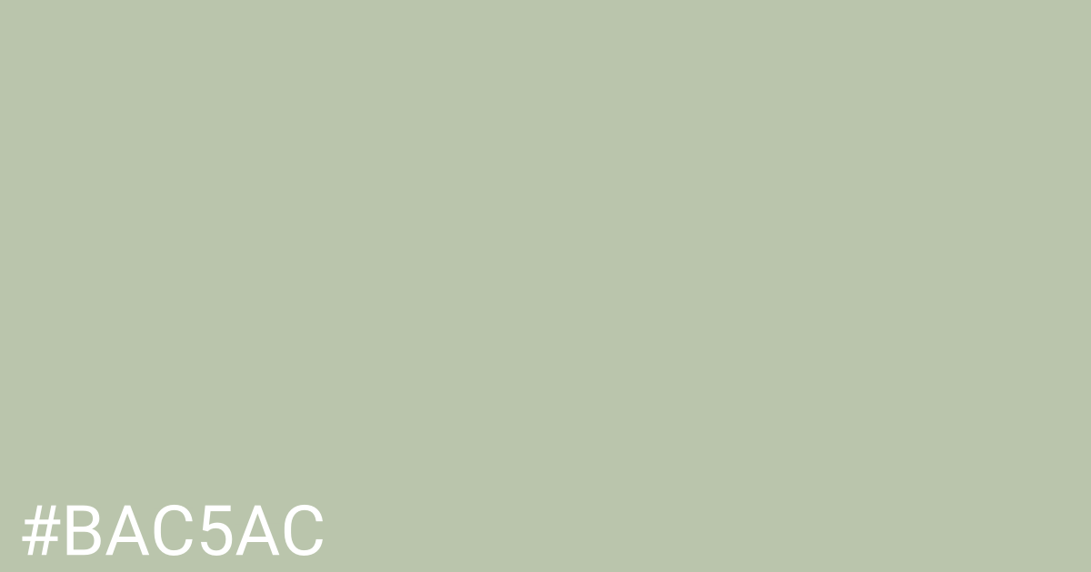 Hex color #bac5ac graphic