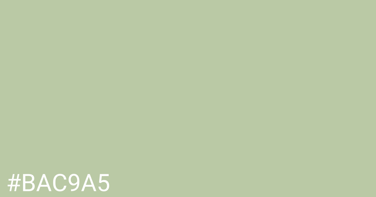 Hex color #bac9a5 graphic