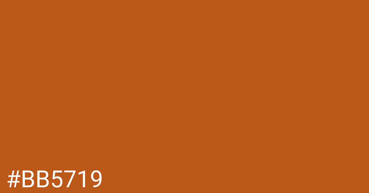 Hex color #bb5719 graphic