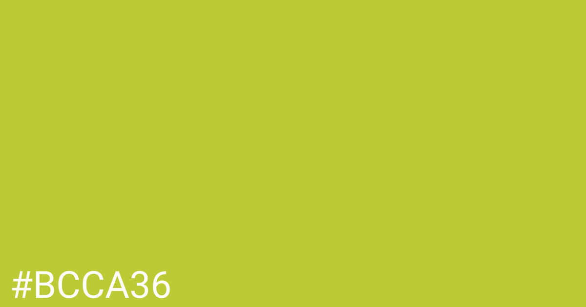 Hex color #bcca36 graphic