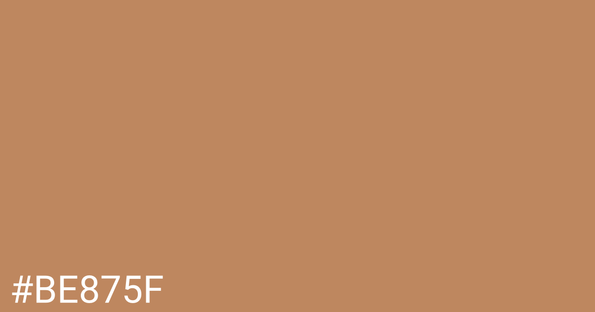 Hex color #be875f graphic