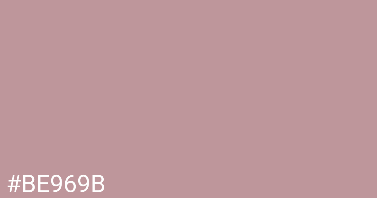 Hex color #be969b graphic