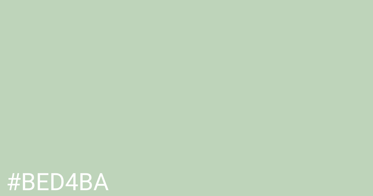 Hex color #bed4ba graphic