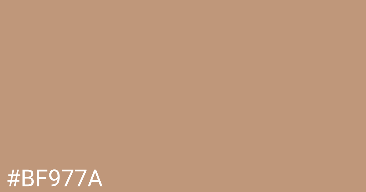 Hex color #bf977a graphic