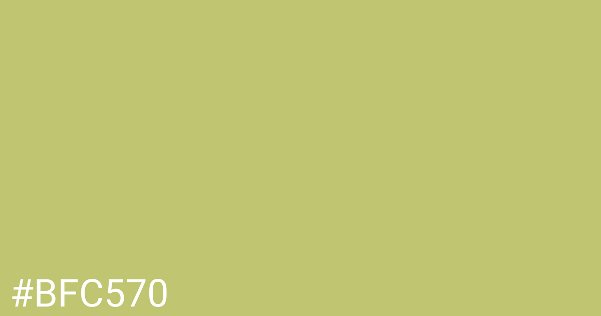 Hex color #bfc570 graphic