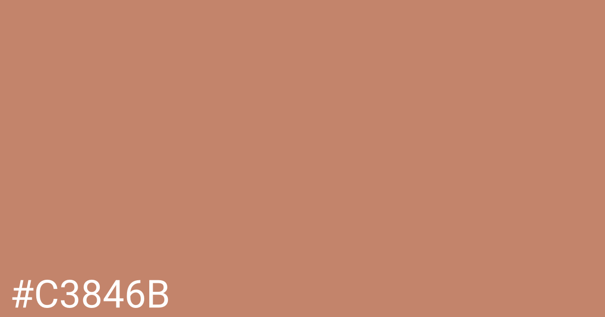 Hex color #c3846b graphic