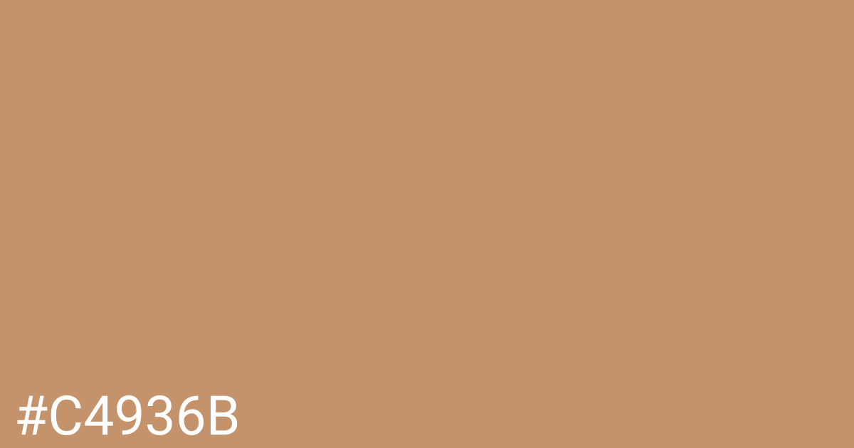 Hex color #c4936b graphic