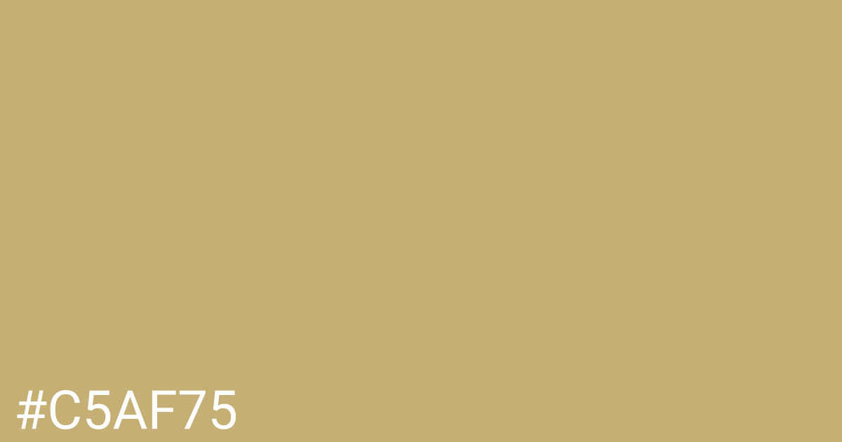Hex color #c5af75 graphic