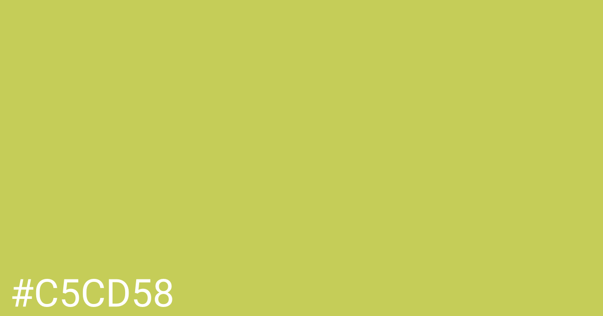 Hex color #c5cd58 graphic