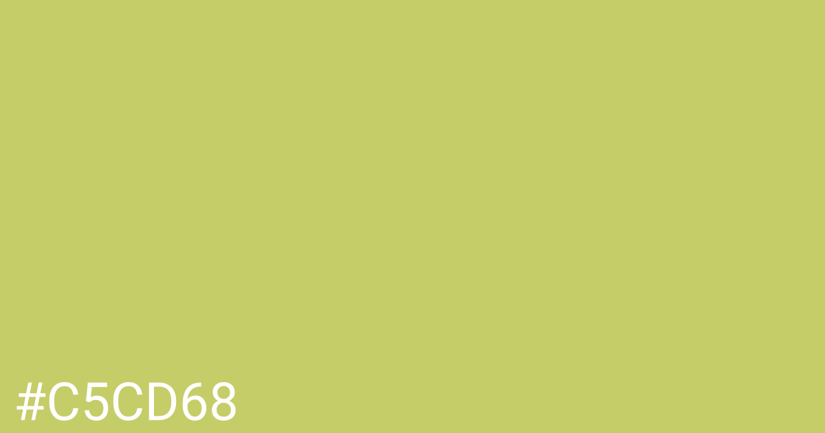 Hex color #c5cd68 graphic