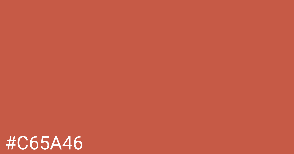 Hex color #c65a46 graphic