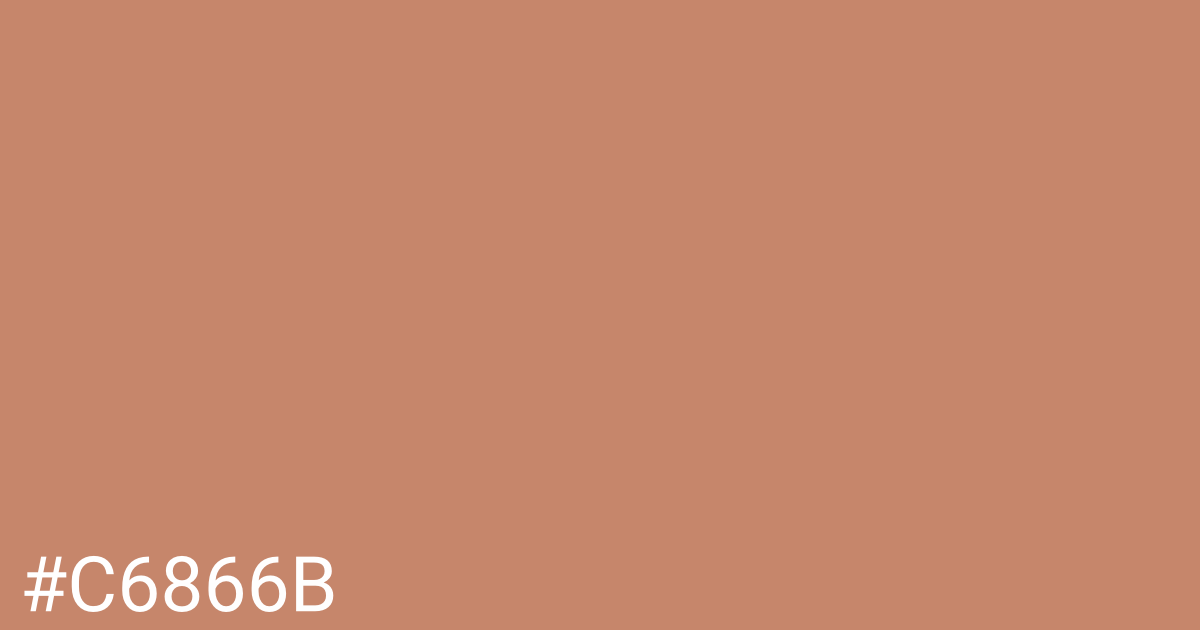 Hex color #c6866b graphic