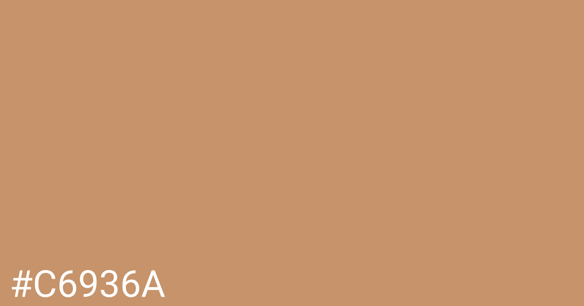 Hex color #c6936a graphic