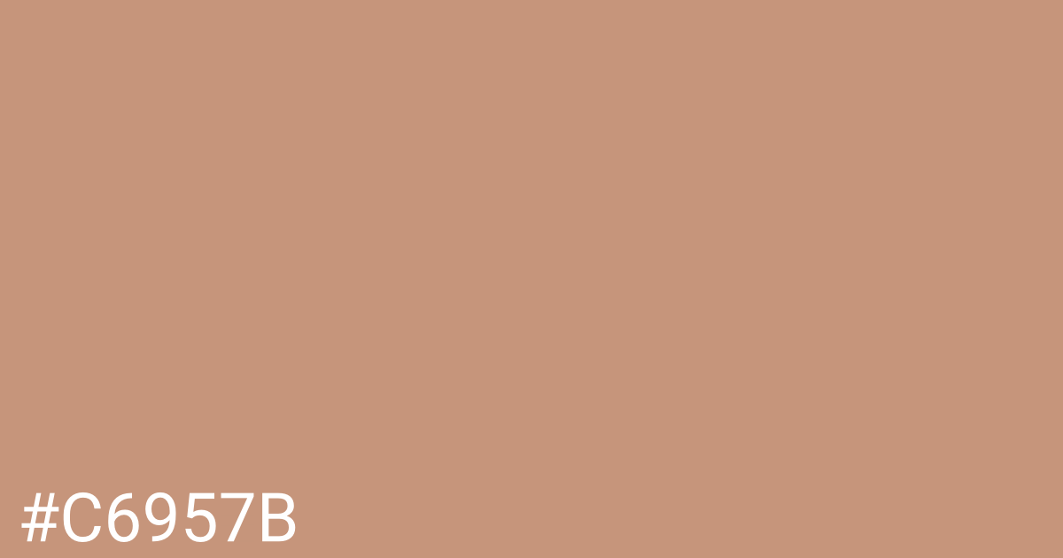 Hex color #c6957b graphic