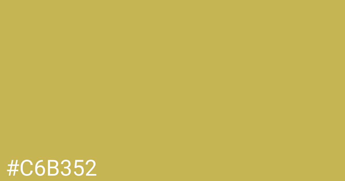 Hex color #c6b352 graphic