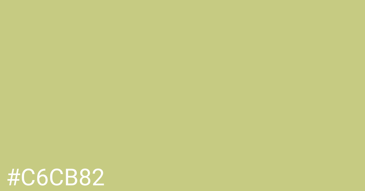 Hex color #c6cb82 graphic