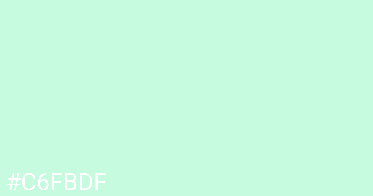 Hex color #c6fbdf graphic