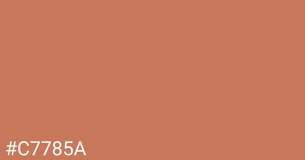 Hex color #c7785a graphic