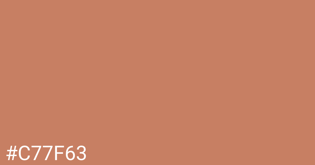Hex color #c77f63 graphic