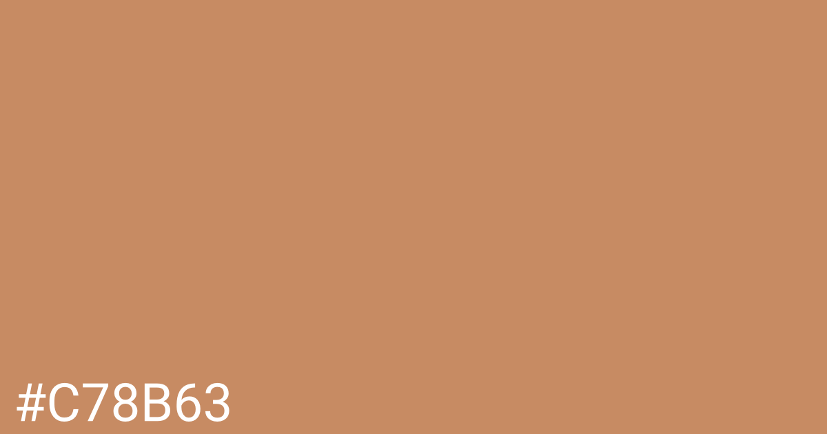 Hex color #c78b63 graphic