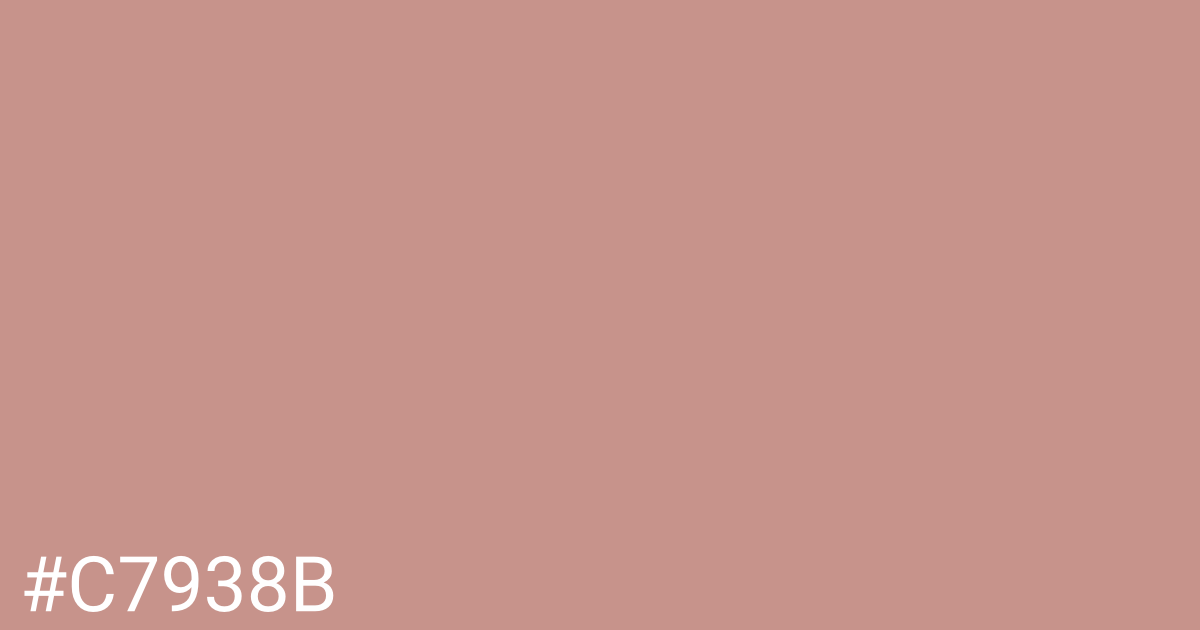 Hex color #c7938b graphic