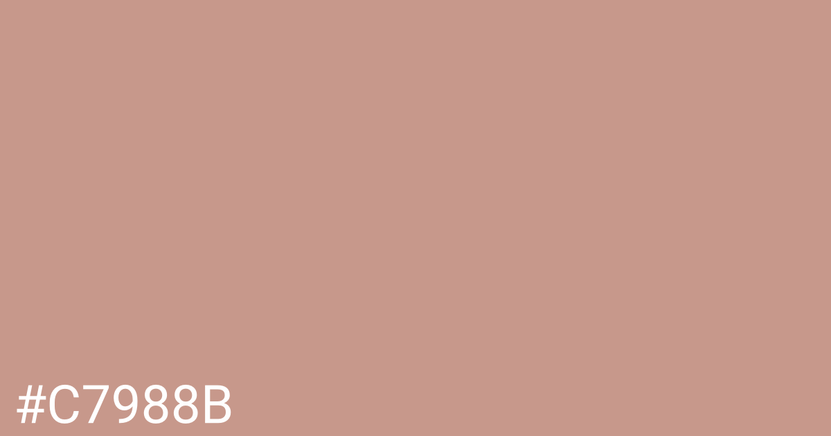 Hex color #c7988b graphic