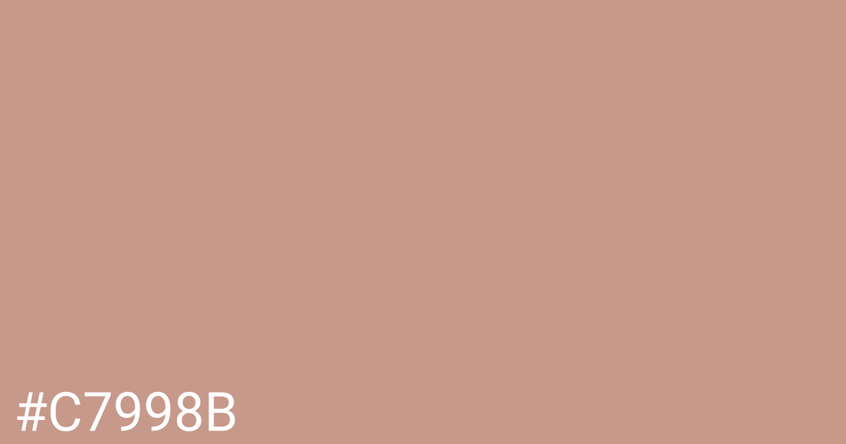 Hex color #c7998b graphic