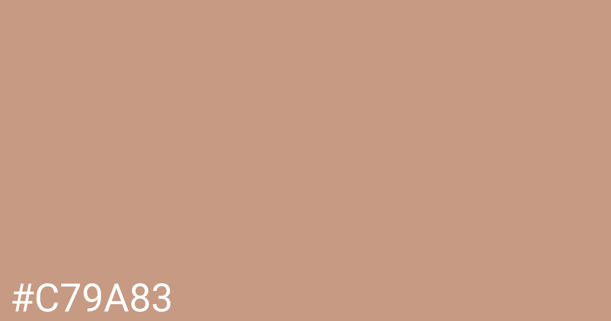 Hex color #c79a83 graphic