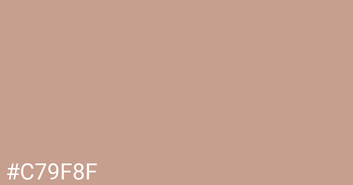 Hex color #c79f8f graphic