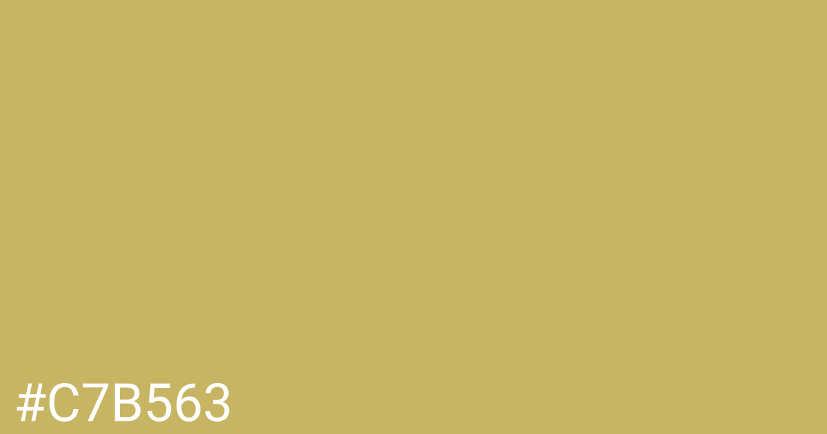 Hex color #c7b563 graphic