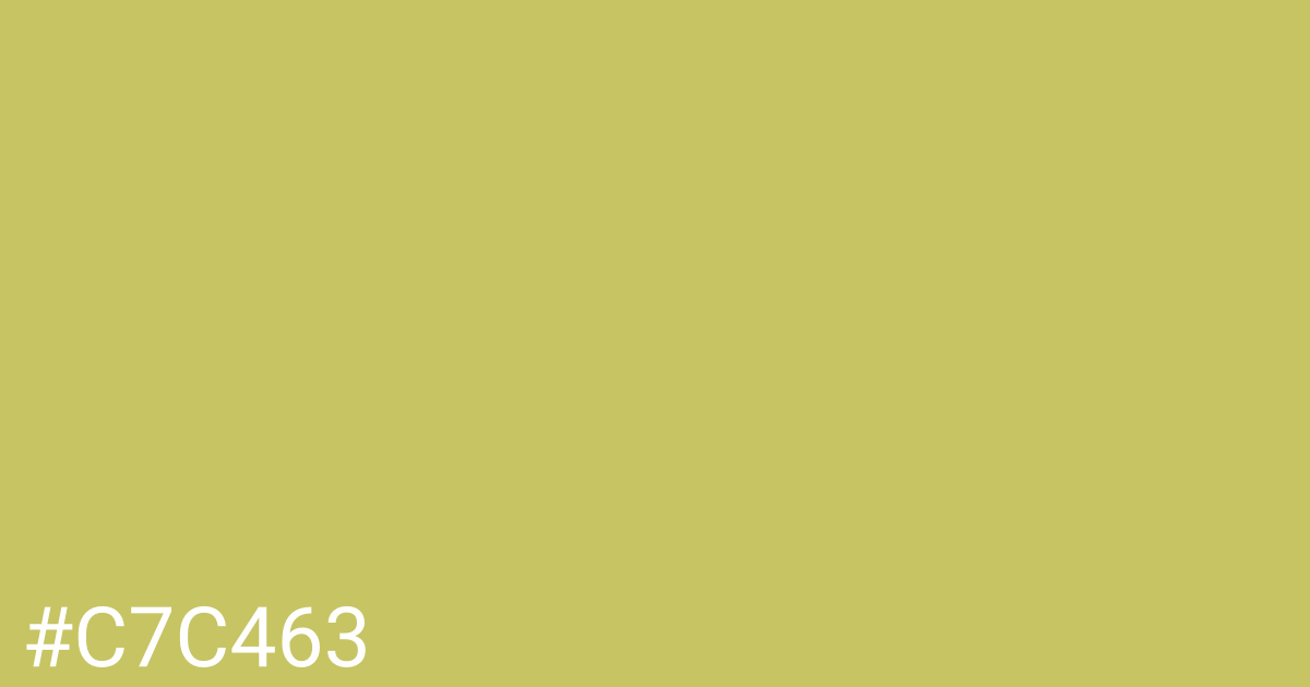 Hex color #c7c463 graphic