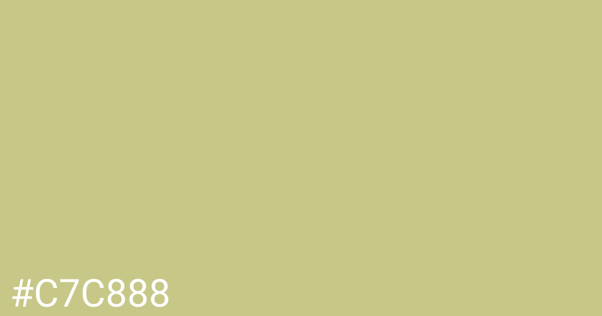 Hex color #c7c888 graphic