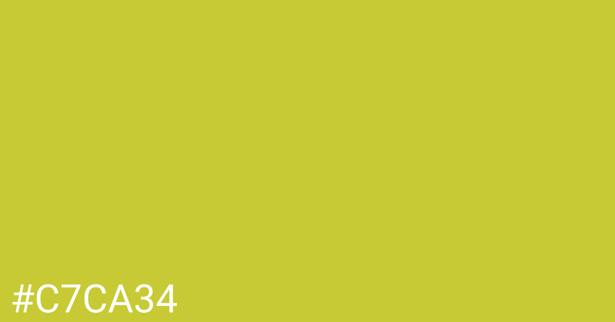 Hex color #c7ca34 graphic