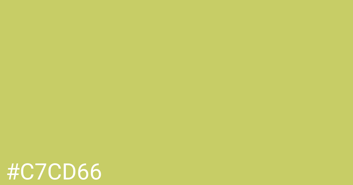 Hex color #c7cd66 graphic