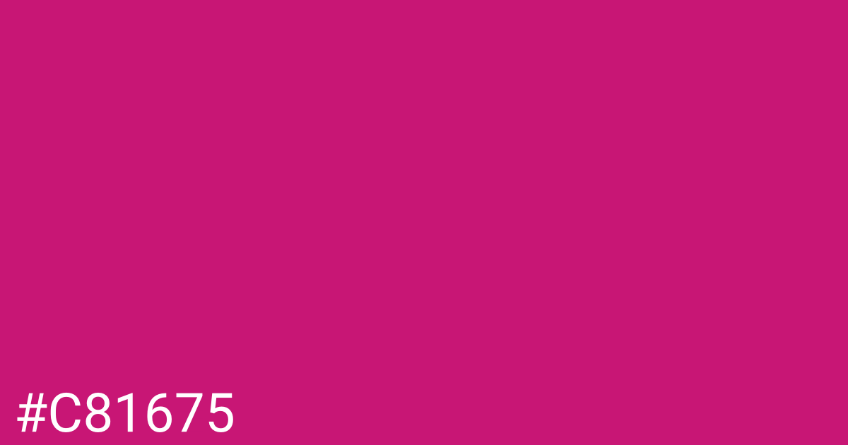 Hex color #c81675 graphic
