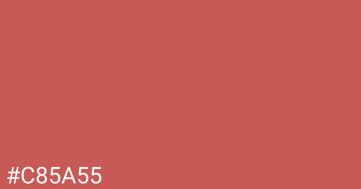 Hex color #c85a55 graphic