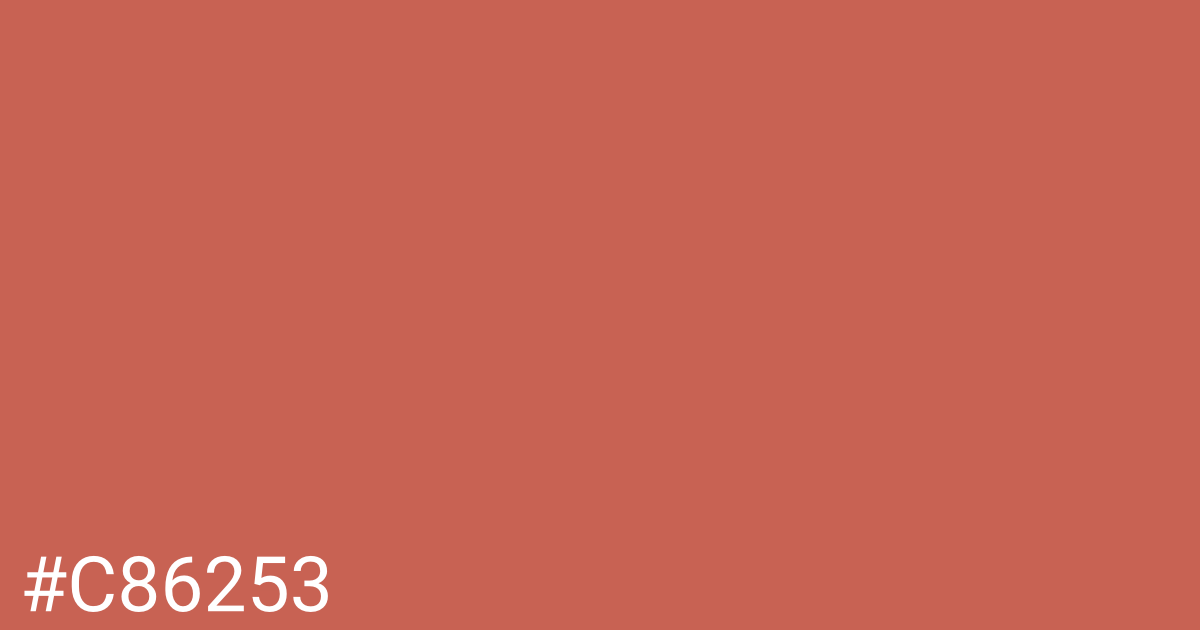 Hex color #c86253 graphic