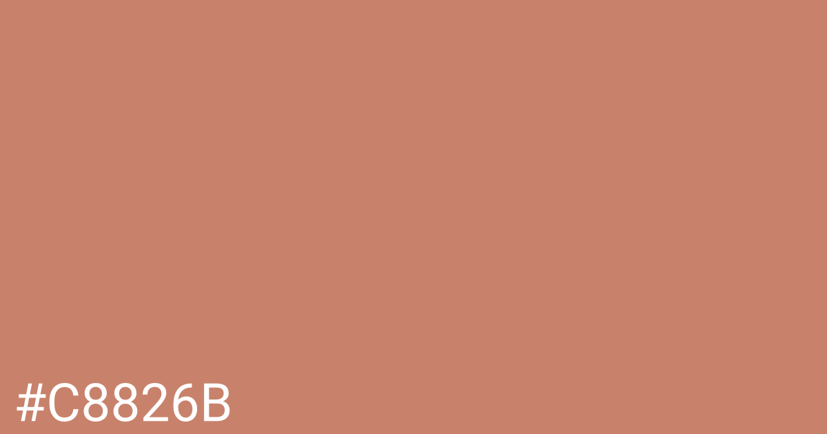 Hex color #c8826b graphic