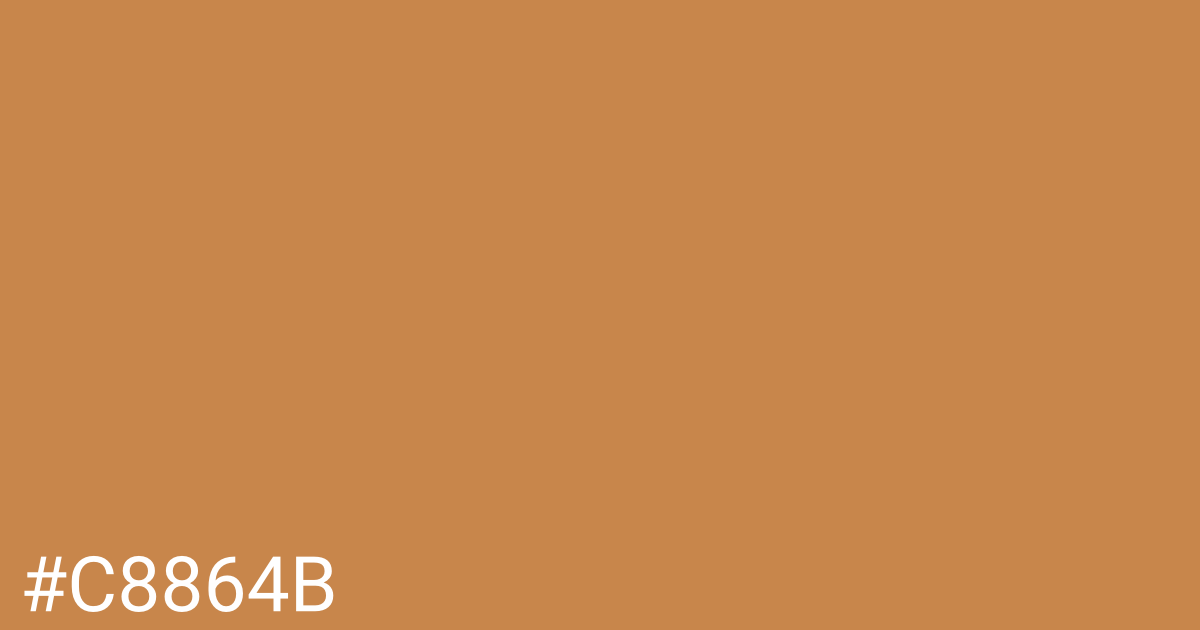 Hex color #c8864b graphic