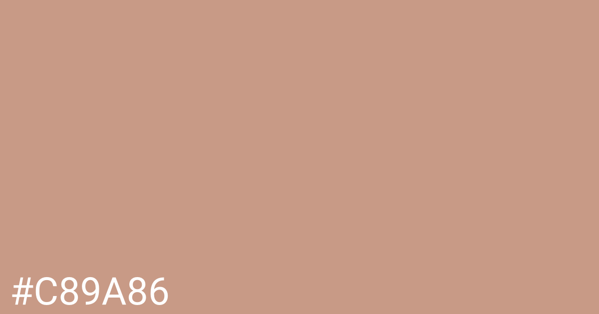Hex color #c89a86 graphic