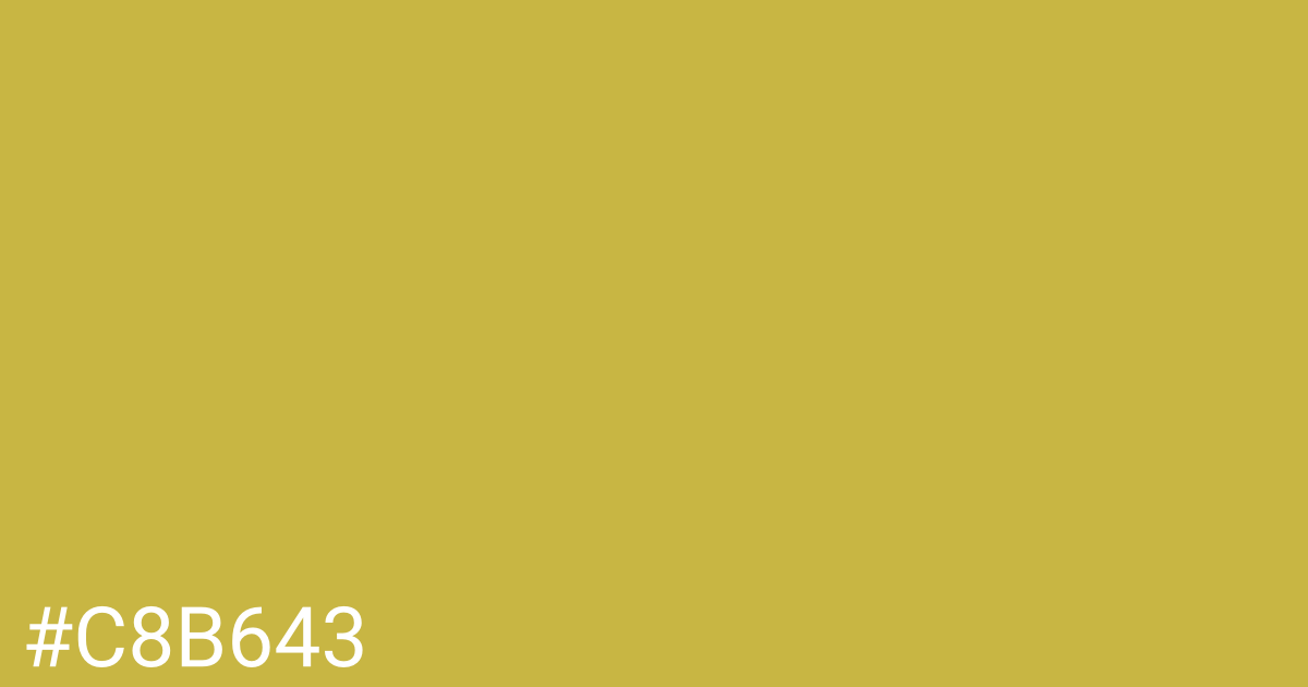 Hex color #c8b643 graphic