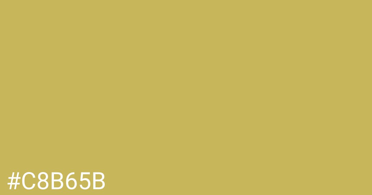 Hex color #c8b65b graphic