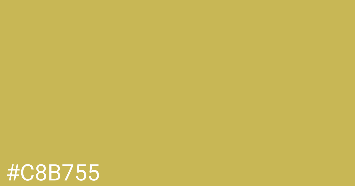 Hex color #c8b755 graphic